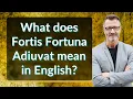 What does Fortis Fortuna Adiuvat mean in English