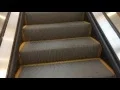 Schindler Escalators at Nordstrom West County Center Des Peres MO