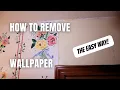 How to Remove Wallpaper and Glue Wagner Wallpaper Steamer and Roman Paste Remover PRO-446