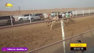 الشوط 13 كحال لـ سيف سالم سيف الدرعي شارة الصنوق الجمعة 2018 05 11 الرقيعات فطامين 