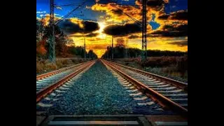 كلب الروت زملني في عركة 