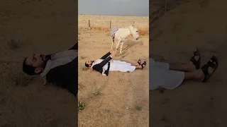 الحمار وحكام العرب 