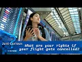 What to know about refunds if your flight is canceled JUST CURIOUS