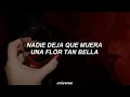 Don Omar; Ayer La Vi [Letra]