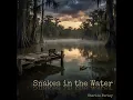 Snakes in the Water