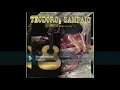 Viola em noite de Lua de Teodoro e Sampaio Álbum Completo