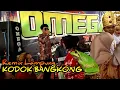 Download Lagu REMIX LAMPUNG 2021 KODOK BANGKONG NEW OMEGA MUSIC