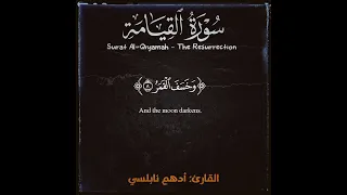 من سورة القيامة   تلاوة  أدهم نابلسي                                                     قرآن        دندنها