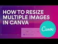 Resizing multiple images to be the same size in Canva