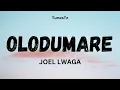 Download Lagu Olodumare Joel Lwaga - Official Lyrics Video