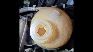 Quick Update & Happy Holidays! Ep (almost) 5