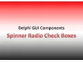 Spin Check Radio Delphi