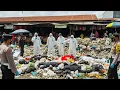Lagu PASAR MALANG GEMPAR!! 20 M4YAT DITEMUKAN DI TUMPUKAN SAMPAH, DAN FAKTA YANG MENGEJUTKAN WARGA