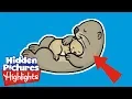 Hidden Picture Puzzles Fun with the otters Fun games for kids Highlights