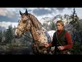 How to Find a 100 Guaranteed Appaloosa Horse in RDR2 Spawn Location