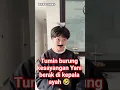 Download Lagu Tumin burung kesayangan Yani berak di kepala ayah🤣 #videoshorts #videokocak #dubbing #Yanni08