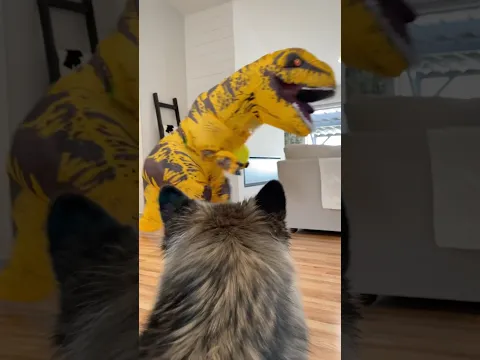 Dog follows Dinosaur into another dimension!