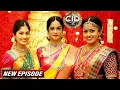 Download Lagu Shreya, Purvi और Tarika की हुई अमीर घर के लड़को के साथ शादी | CID New Episodes | Crime Stories