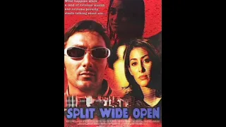 you are ost split wide open 1999 original cassette rip