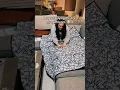 Comment blanket if you want one
