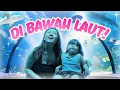 Download Lagu YUKA-CHAN SEHARIAN MAIN DI AQUARIUM TERBESAR DI DUNIA! | a day in our life