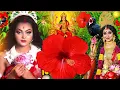 Download Lagu Navratri Bhakti Song 2025 New Devi Geet | नवरात्रि स्पॆशल गीत🌹Bhojpuri Devi Geet Bhajan