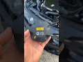 LOW COOLANT? EASY FIX! Expansion Tank Cap Failure.  #bmw