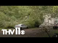 Arkansas woman dies after tree falls on home