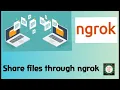 How to Share large files to anyone through ngrok server Port forwarding