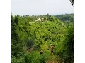 Download Lagu Terima Kasih ! Voyage Épique entre Amis à Bali : Découvrez le Paradis Tropical! (Version Longue)