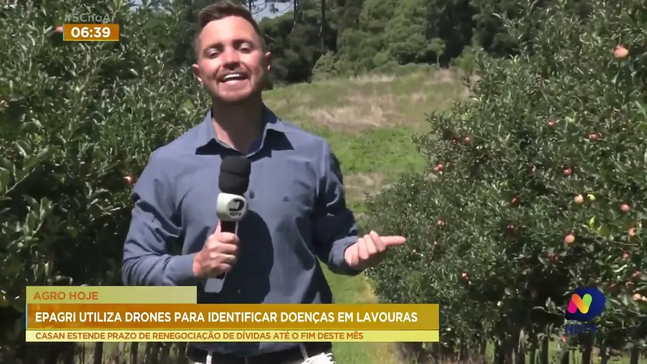 Drone ajuda a identificar doenças nas lavouras de maçã da região Oeste de SC