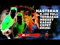 Lagu MASTERAN CUCAK IJO FULL TEMBAKAN MBESET KASAR CEPET EMOSI@mackicau