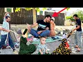 Download Lagu The Challenges of Bigamy: Shahroz and the Endless Shadow of Conflict