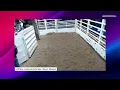 Lolli Bros Livestock Market Horse Sale - Macon MO