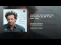 Liederkreis nach Joseph von Eichendorff, Op. 39: 7. Auf einer Burg