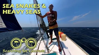 SNORKEL MAGIC – SAILING PHI PHI DON S02E09