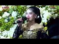 Download Lagu Langgam Setyo Tuhu ⁉️ ima rosmala || Bayu Music Live Ngawi 🔴