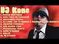 Download Lagu DJ Kane-Iconic tracks of 2024-Premier Hits Selection-Connected