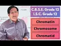 Chromatin Chromosome and Chromatid Grade 12 Biology