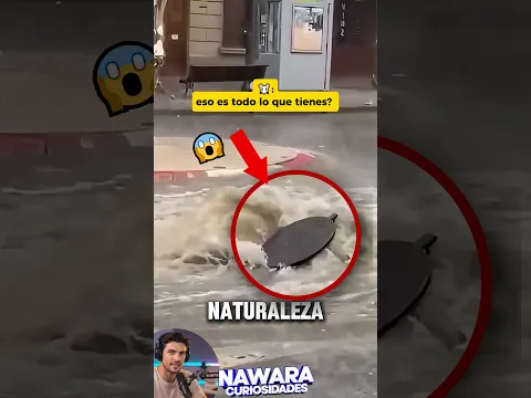 🐭: eso es todo lo que tienes!!!??