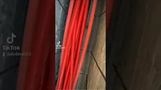 في حضور الأصل تنتهي صلاحية المقلدين         دندنها