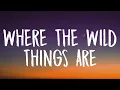 Download Lagu Luke Combs - Where The Wild Things Are (Lyrics)