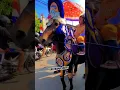 Download Lagu kuda renggong konvoi sambil joget joget manja | Dancing horse