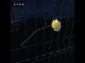 Виграй