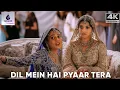 Download Lagu 💖 Dil Mein Hai Pyaar Tera – 4K Video Song | The Hero | Alka Yagnik | Sunny Deol \u0026 Preity Zinta