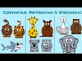 Carnivores Herbivores Omnivores Giraffe kiwi shark rhinoceros