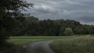 حتى اذا جاء احدكم الموت توفته رسلنا وهم لا يفرطون 