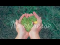 Download Lagu NO ESTRESS - Musica pra relaxar