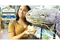 VISITING THE BEST REPTILE PET STORE IN THE WORLD DFW REPTARIUM