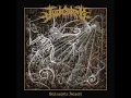 Wall of Skulls - Judiciary